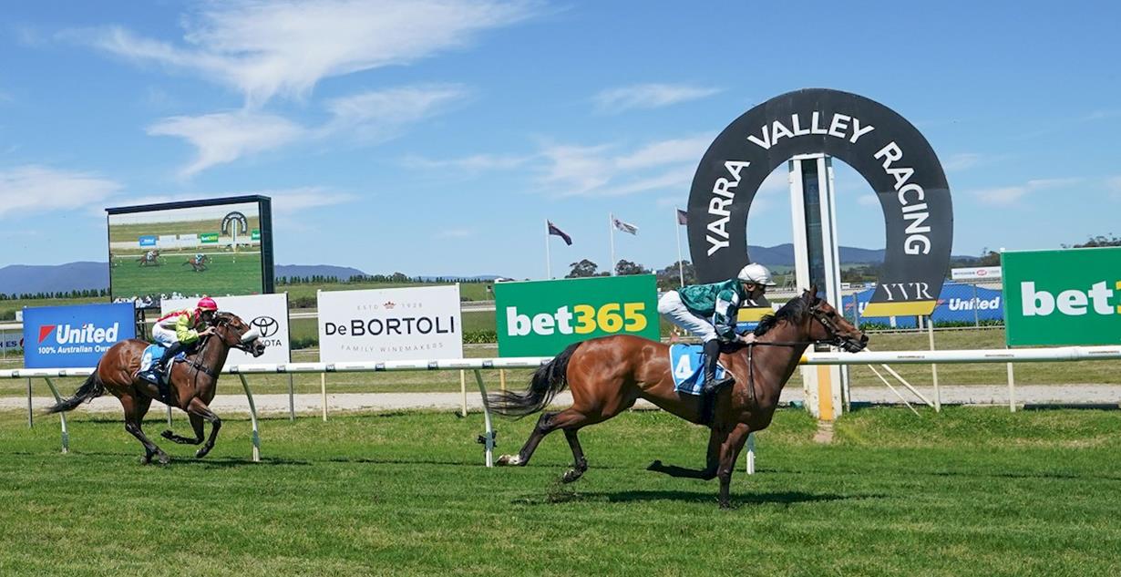 Give Faith - Yarra Valley 26th October 2024